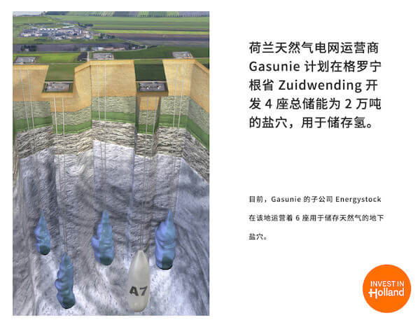 荷蘭努力串起全球氫經(jīng)濟.jpg